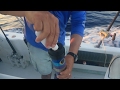 Baja Marlin, Roosters & Tuna Fishing