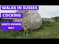 Walks in sussex at cocking south downs way