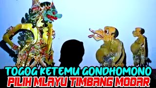 Download lagu Togog ngadepi ratu gondomono sing sakti mandraguna langsung pucet wayang kulit ki seno nugroho