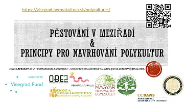 Co je divoká polykultura?