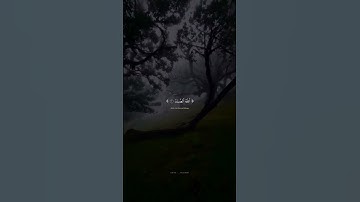 سورة الإخلاص بصوت الشيخ المنشاوى