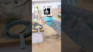 Who Wants Pancakes? Miniature Cooking Mini Food