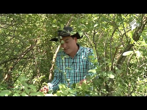 ახალგაზრდა ქართველი ფერმერების წარმატების ფორმულა