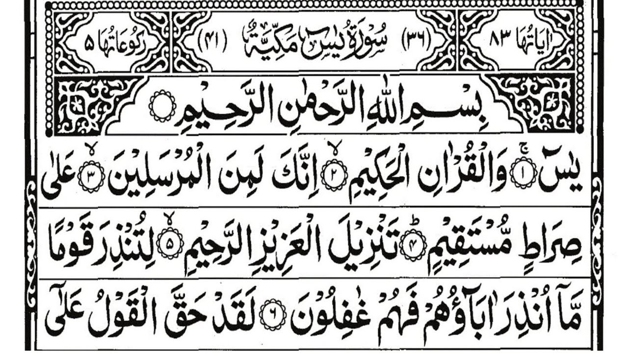 surah Yasin sudais || surah rahman || surah Waqi'ah || surah mulk || the easy quran course