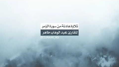 تلاوة هادئة تنسيك الدنيا وهمها من سورة الزمر للقارئ عبد الوهاب طاهر