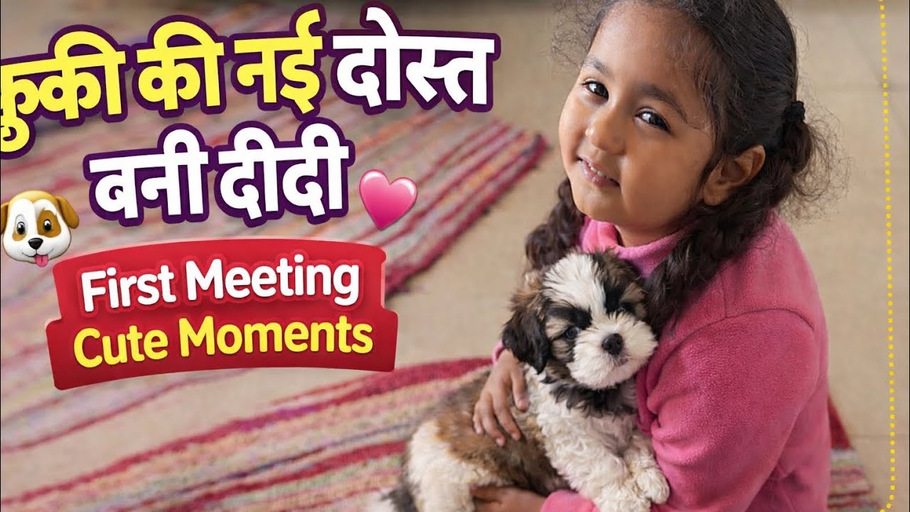 New Didi Meets Cookie for the First Time 🐾😍 | Cute Puppy Video