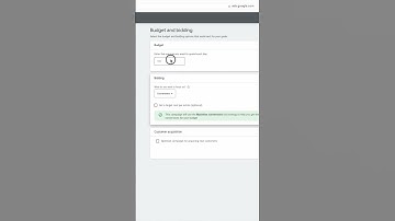 Biggest Benefit of Performance Max Campaigns For Beginners