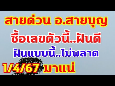 สายด่วนอาจารย์สายบุญวัดป่า บนเลขตัวนี้ไว้ ขอให้มาร่วมทำบุญใหญ่ 1/4/67