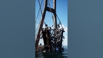 The Most Satisfying CGI Bridge Collapse 勞