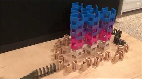 Chubs Show Contest Entry