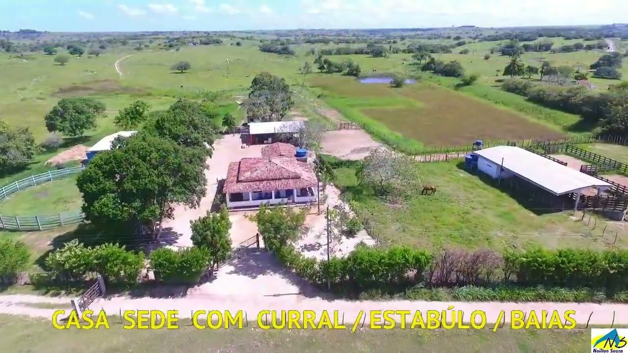 ANADIA - AL / 75 HECTARES