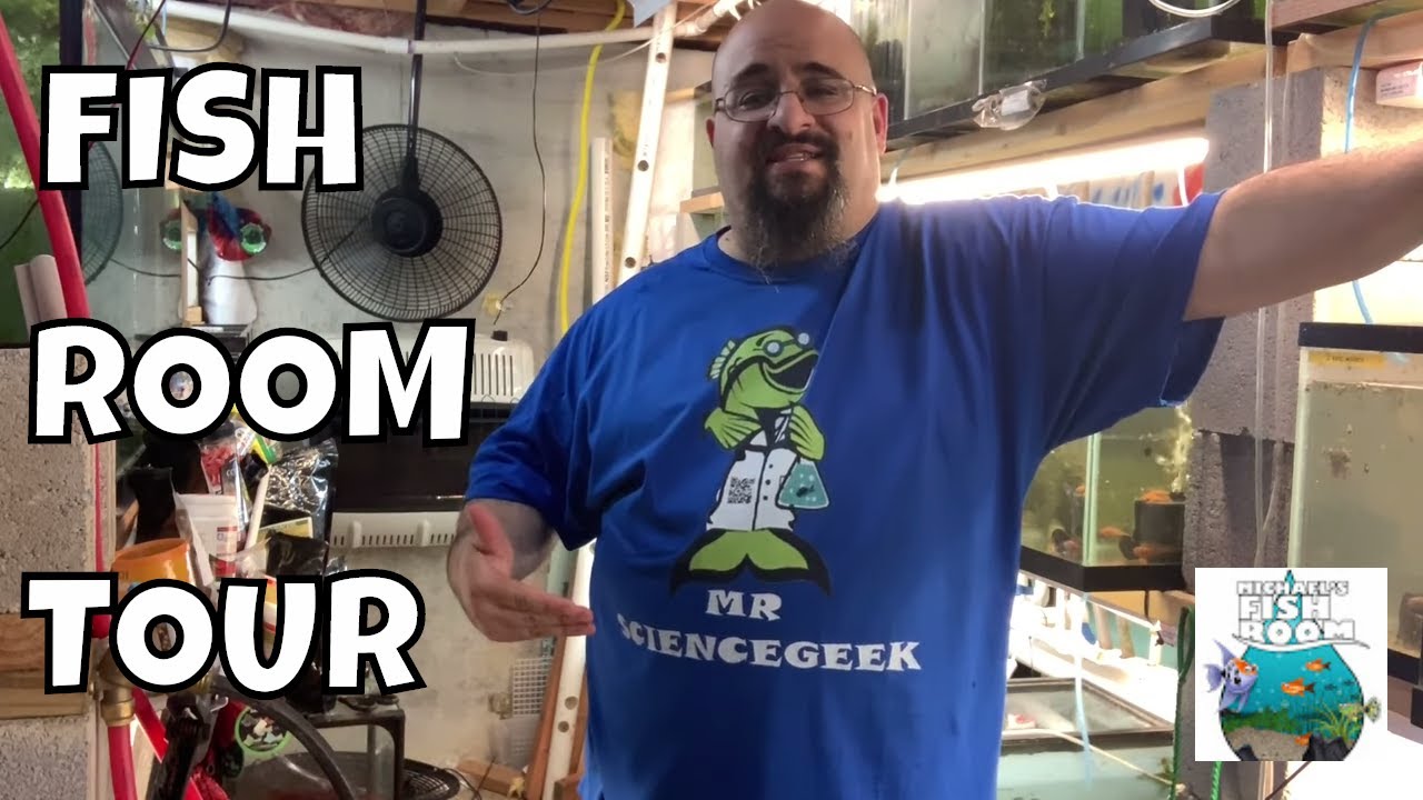 Fry Fry Fryday Fish Room Tour!