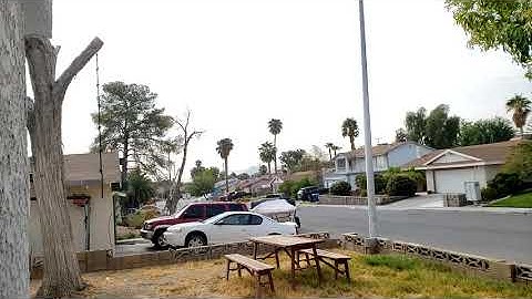 How to Remove a Subborn Tree - A Redneck DIY Guide