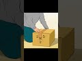 ダンボール/cardboard