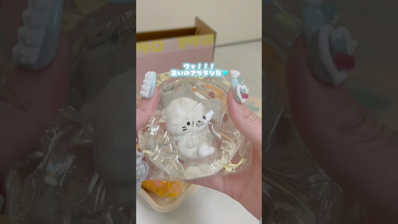 これも入手困難！MoMoの海洋シリーズと、サクサク揚げ物シリーズ買えた