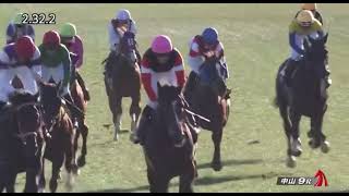 Stinger Glass (JPN) wins race 9 at Nakayama 12/22/2024