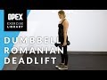 Dumbbell romanian deadlift   opex exercise library