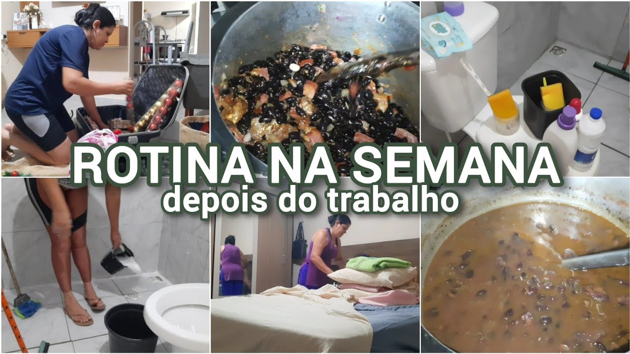 ROTINA DONA DE CASA| DESMONTEI ÁRVORE DE NATAL| LAVANDO O BANHEIRO PELA PRIMEIRA VEZ NO ANO| e mais.