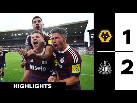 Wolves 1 Newcastle United 2 Premier League Highlights