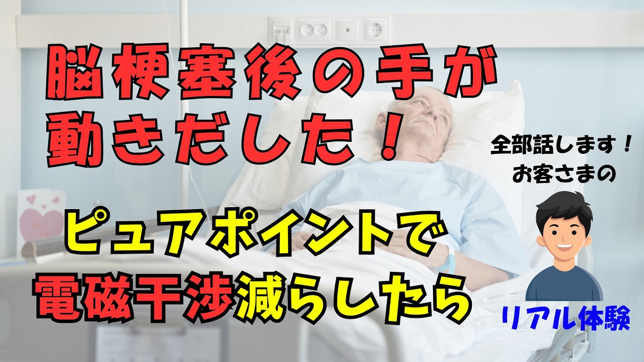 商品詳細：体への電磁干渉を整える「ピュアポイントヴォイス」