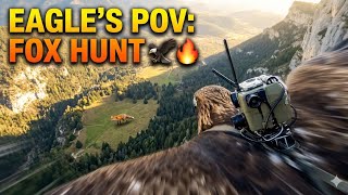 Eagle’s POV | Fox Hunt in Action 🦅🔥