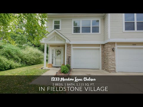 1233 Meadow Lane, Chelsea, MI home video tour