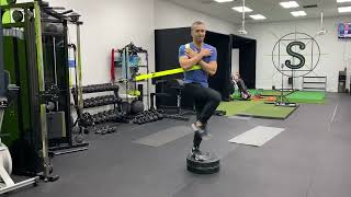 Whatsthatstrap 3D Strap - Shoulder Stabilized Opposite Side Step Ups
