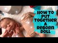 Put together a reborn with me! A different kind of details video! Custom reborn doll - Reborn, Sweet