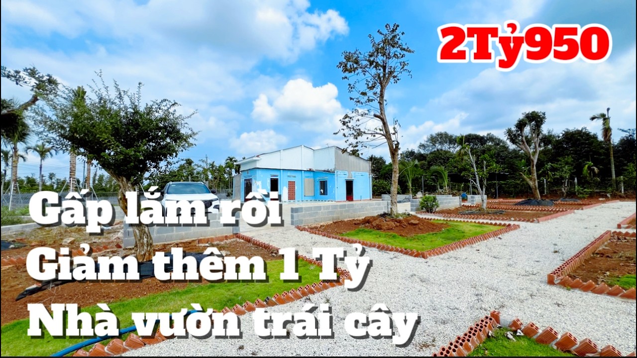 GIẢM 1 TỶ Bán nhà vườn đầy ắp trái cây gần 3000m2 sẳn thổ cư chỉ 2 Tỷ 950 cách Sài Gòn hơn 50km.