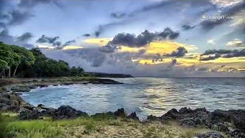 تلاوة خاشعة لا تفوتها.....آيات من سورة الزمر ...القارئ حسام خضر