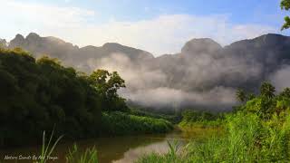 เมืองพังงา / Morning mist / Ambience Nature sound / Forest Birds Singing ( 4K video) screenshot 4