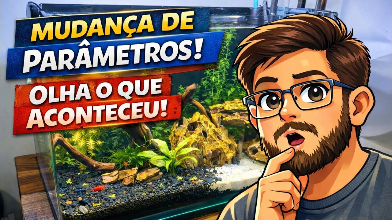 Aquário Plantado do Zero | Semana 7 - Ajustando os parâmetros para os peixes 🐟 