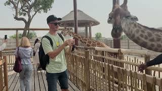 Dubai Safari Park 2024 (4K VIDEO)