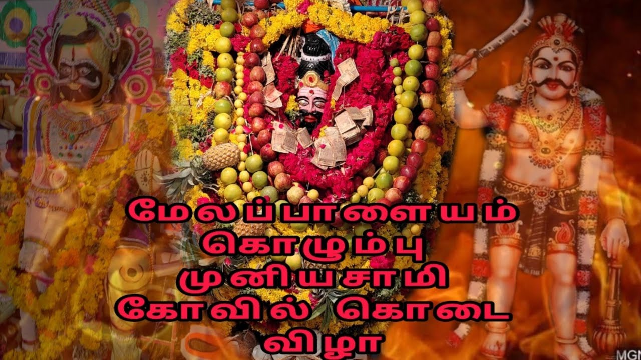 மேலப்பாளையம் கொழும்பு முனியசாமி கோவில்  கொடை விழா சாம பூசை... 