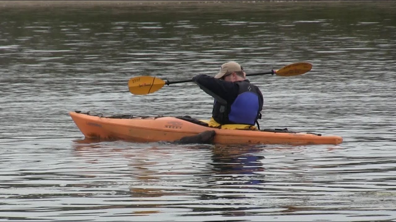 Sea Otter "attacks" Kayak YouTube