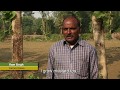 Greening Red Earth: How can Bamboo help restore land in India?