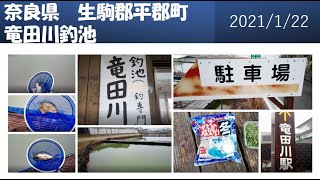 竜田川釣池 釣り堀 鯉釣り Carp Fishing 鲤鱼钓鱼 잉어 낚시 Lovlya Karpa Youtube