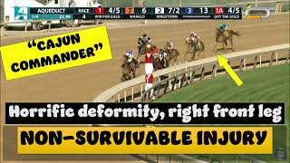 "Cajun Commander" 🌶 KILLED AT AQUEDUCT 11.12.22 #horseracing #aqueduct #nyra