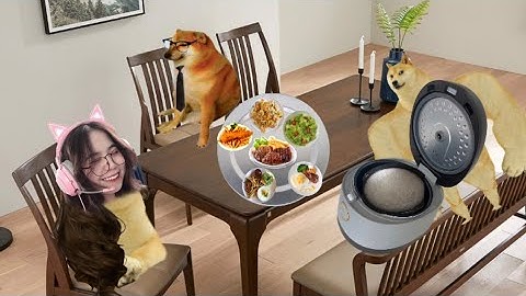 Bắc Cơm Lên Lại Quên Cắm Điện Phiên Bản Mèo Simmy