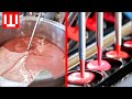 Cosmetic Factory Tour - Amazing Cosmetic Manufacturing Process #1