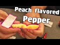 PEPPER ASSORTMENT - Trying a Peach-Flavored Pepper and More! - Chili Reviews