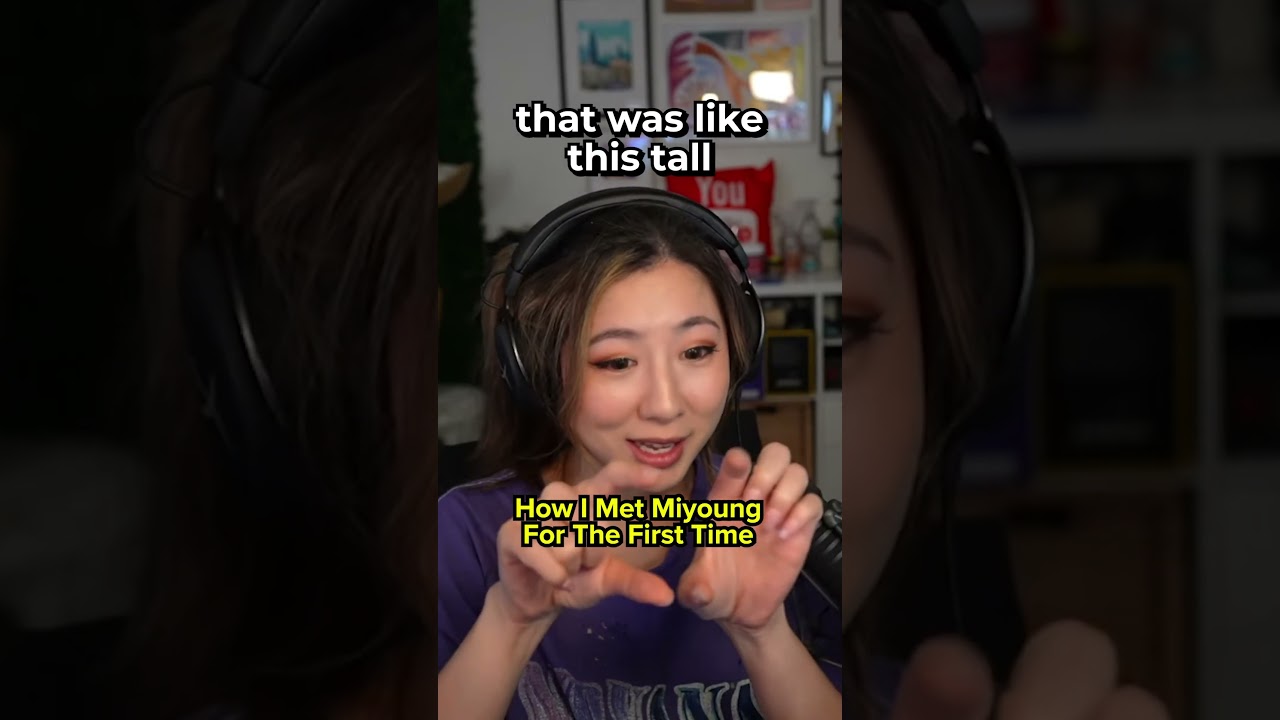 HOW FUSLIE MET MIYOUNG