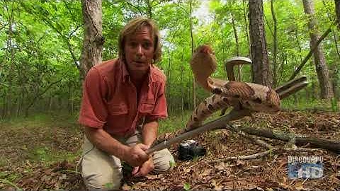 Austin Stevens - Snakemaster - In Search of Monster Rattlers