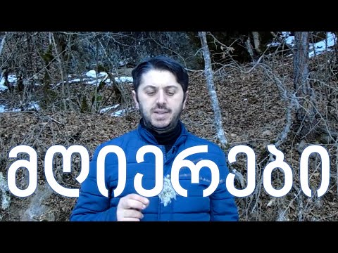 მღიერები (ლიქენები) უკეთესი გარემოსთვის • Lichens for better environment