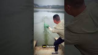 This Chinese Invention Is Genius Remotecontrolled Fishing Boat That Catches Fish Automatically 