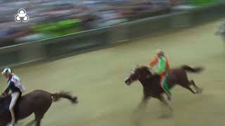 La Carriera Del Palio Del 17 Agosto 2024