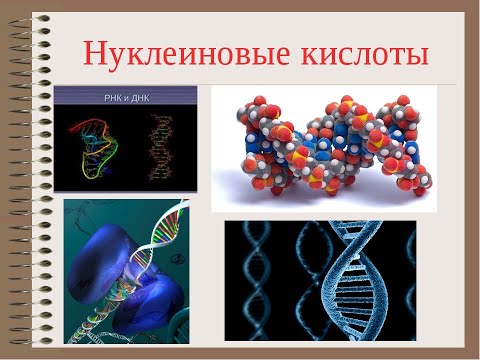 Videó: Az Evolúciós Dinamikát Magában Foglaló, Hosszú Távú, Személyre Szabott Rákkezelési Stratégiák