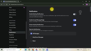 How To Enable Discord Camera Overlay