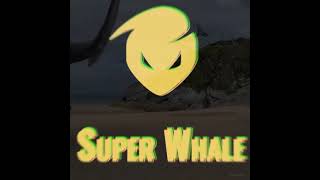 BTCs whale