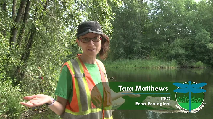 The Wetland Dialogues: Tara Matthews, CEO Echo Eco...